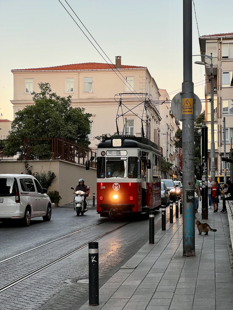 Çocukların Moda ve Giyim